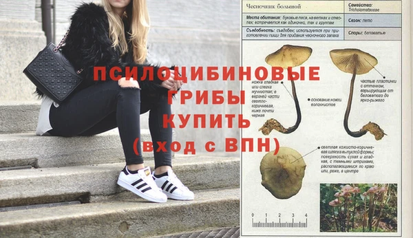 таблы Няндома