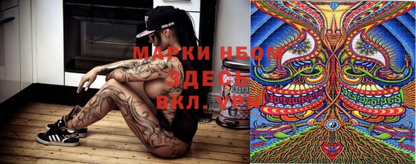 таблы Няндома