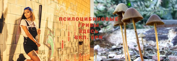 таблы Няндома