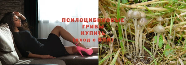 СК Нягань