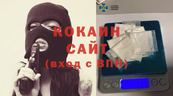таблы Няндома