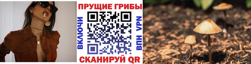 Галлюциногенные грибы Magic Shrooms  Куса 
